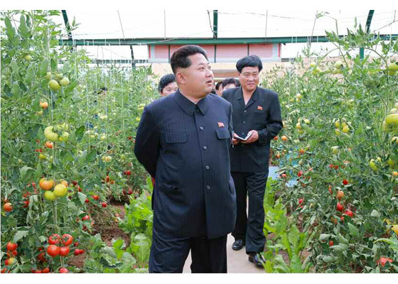 북한 내년 5월까지 전국 온실에 환경종합측정장치 설치