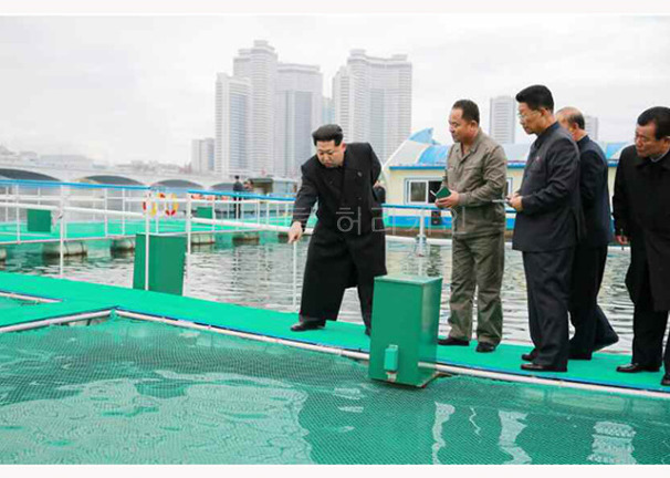 북한 무선통신 양어장종합감시조종 시스템 구축