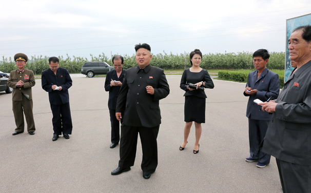 또 다시 사라진 북한 리설주
